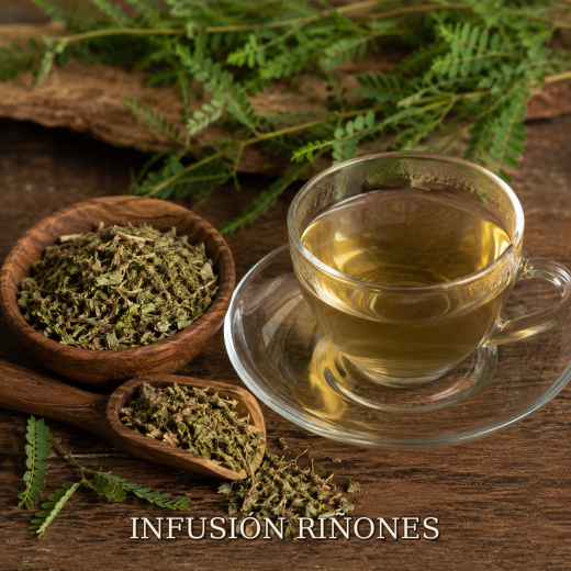 INFUSIÓN RIÑONES